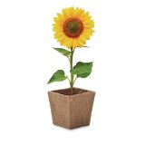 Vue 3 de SUNFLOWER KIT