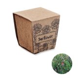 Vue 1 de SUNFLOWER KIT