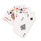 Vue 2 de PLAYCARD