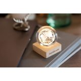 Vue 7 de GLOBE LIGHT
