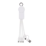 Vue 1 de ICAB