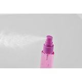 Vue 5 de MIST