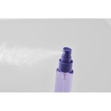 Vue 5 de MIST