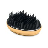 Vue 2 de BRUSH