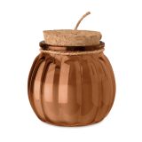 Vue 2 de PUMKIN
