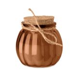 Vue 1 de PUMKIN