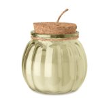 Vue 2 de PUMKIN