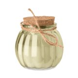Vue 1 de PUMKIN