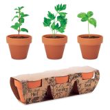 Vue 1 de FLOWERPOT