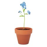 Vue 5 de FORGET ME NOT