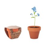Vue 1 de FORGET ME NOT