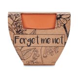 Vue 2 de FORGET ME NOT