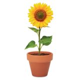Vue 5 de SUNFLOWER