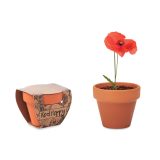 Vue 1 de RED POPPY