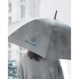 Vue 4 de VISIBRELLA
