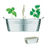 Vue 1 de MIX SEEDS