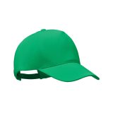 Vue 1 de BICCA CAP