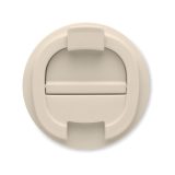 Vue 4 de BRACE +