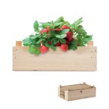 Vue 1 de STRAWBERRY