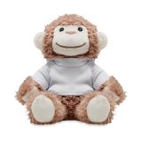 Vue 4 de LENNY