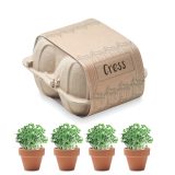 Vue 1 de CRESS