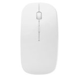 Vue 2 de CURVY