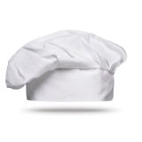 Vue 1 de CHEF