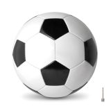 Vue 1 de SOCCER