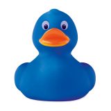 Vue 1 de DUCK