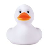 Vue 1 de DUCK