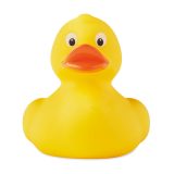 Vue 1 de DUCK