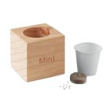 Vue 2 de MENTA