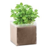 Vue 1 de BASIL