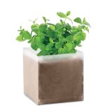 Vue 1 de MINT