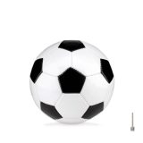 Vue 1 de MINI SOCCER