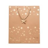 Vue 3 de SPARKLE