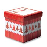 Vue 3 de SNOWY