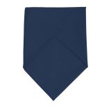 Vue 2 de BANDANA