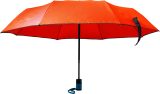 Vue 8 de Parapluie Jamelia