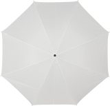Vue 9 de Parapluie Andy