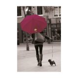 Vue 12 de Colorado parapluie 23,5 inch