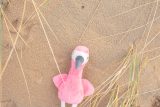 Vue 7 de Flamant rose en peluche Alicia | 18 cm