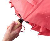 Vue 13 de Parapluie Teodora