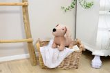 Vue 6 de Peluche Liza | Chien