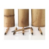 Vue 6 de Sento Bamboo stylo