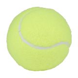 Vue 2 de Ballons de Padel Pro