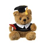 Vue 1 de Prof peluche