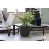 Vue 5 de Coffee Flowerpot pot de fleurs