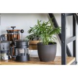 Vue 6 de Coffee Flowerpot pot de fleurs