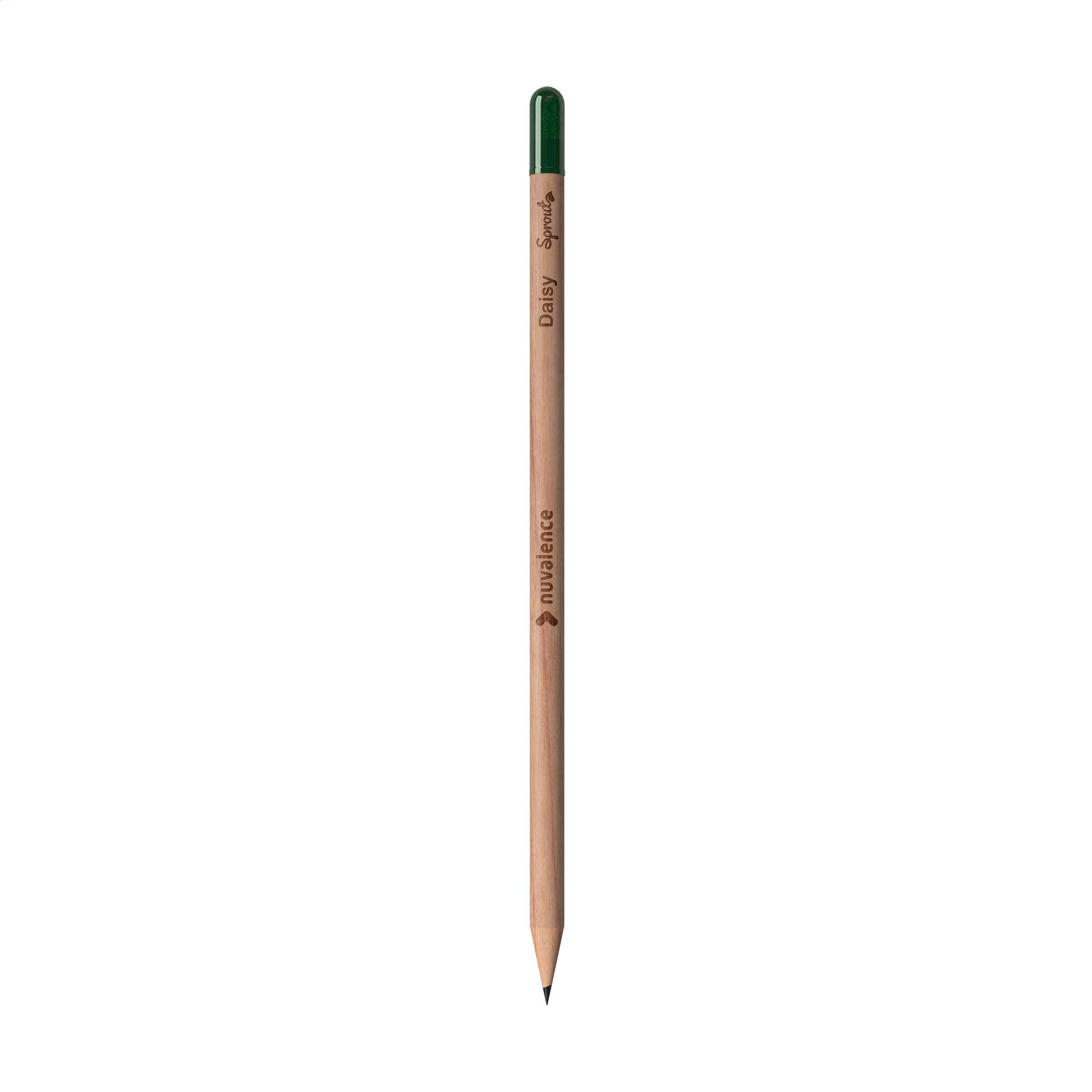 Sproutworld Sharpened Pencil crayon taillé
